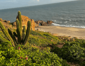 Leia mais sobre o artigo Morro do Serrote em Jericoacoara: Subida Rápida, Visual Incrível