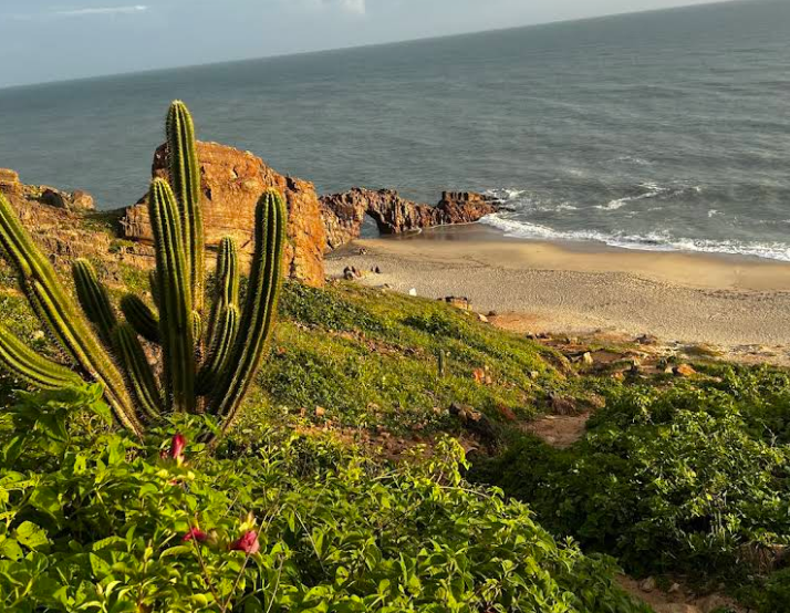 Leia mais sobre o artigo Morro do Serrote em Jericoacoara: Subida Rápida, Visual Incrível